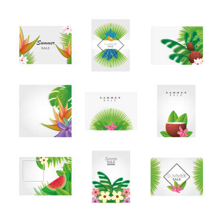 set of templates summer with flowers, fruits and symbols of summer vector illustration designのイラスト素材