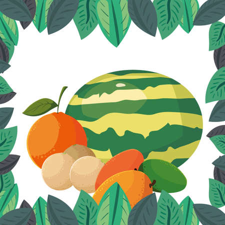 watermelon orange melon mango fresh fruits foliage frame vector illustrationのイラスト素材