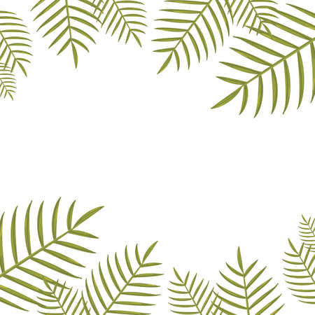 summer time banner foliage tropical leaves background vector illustrationのイラスト素材