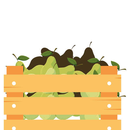 supermarket box with fresh vfruits pears vector illustrationのイラスト素材