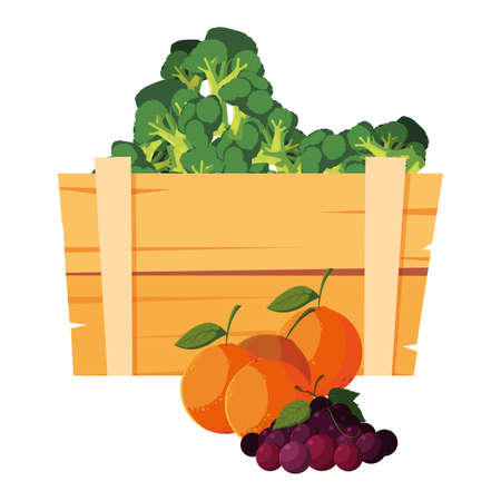 fresh vegetable broccoli orange and grapes in wooden basket vector illustrationのイラスト素材