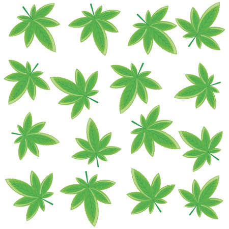 cannabis leafs plant nature pattern vector illustration designのイラスト素材
