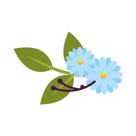 blue flowers with leaves design, natural floral nature plant ornament garden decoration and botany theme Vector illustrationのイラスト素材