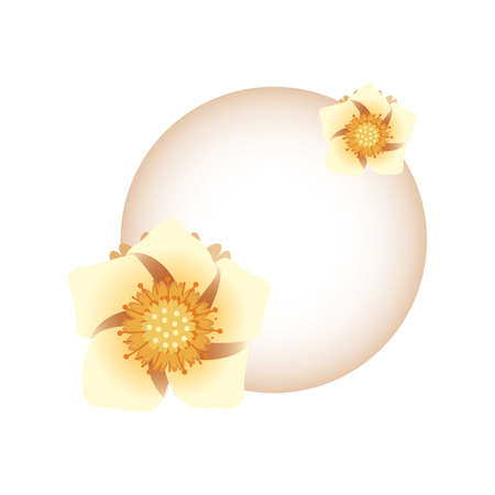 Moon with flowers design, Mid autumn harvest moon festival oriental chinese and celebration theme Vector illustrationのイラスト素材