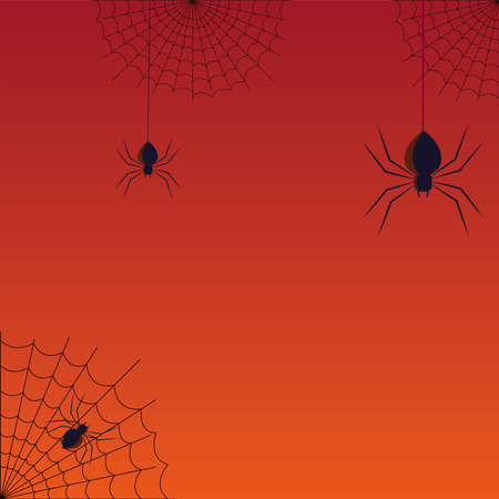 Halloween spiders and spiderwebs design, Holiday and scary theme Vector illustrationのイラスト素材