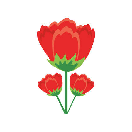 red flowers detailed style icon design, natural floral nature plant ornament garden decoration and botany theme Vector illustrationのイラスト素材