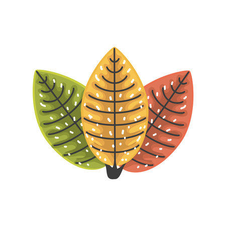 autumn season leaves foliage nature vector illustrationのイラスト素材