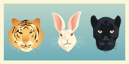 tiger rabbit and panther animals faces wildlife nature style vector illustrationのイラスト素材