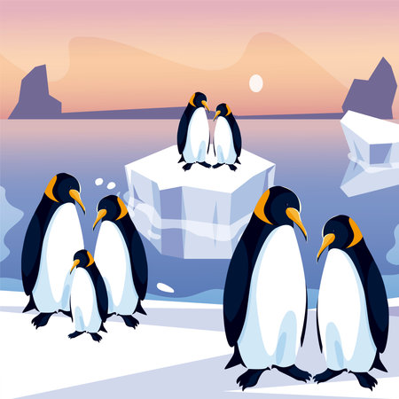 penguins group in iceberg north pole sea panoramic vector illustrationのイラスト素材