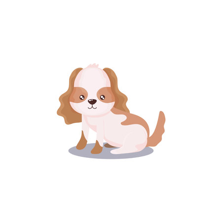 pet, little dog animal domestic, white background vector illustrationのイラスト素材