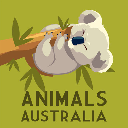 koala hanging branch eucalyptus tree australian animal wildlife vector illustrationのイラスト素材