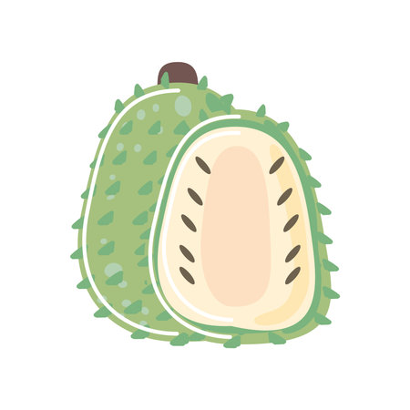 soursop fresh fruit icon isolated style vector illustration
