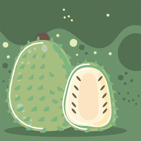 soursop fresh fruit organic healthy food vector illustrationのイラスト素材