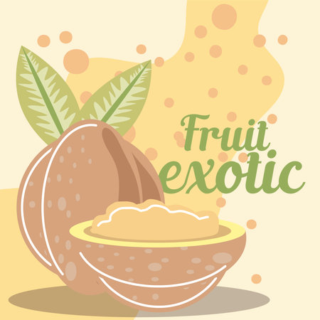 tropical fruit fresh organic healthy food vector illustrationのイラスト素材