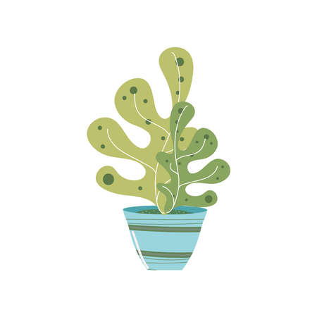 home garden succulent plant in pot vector illustrationのイラスト素材