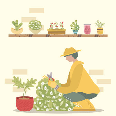 home garden, gardener with scissors trimming bush plants in pots vector illustrationのイラスト素材