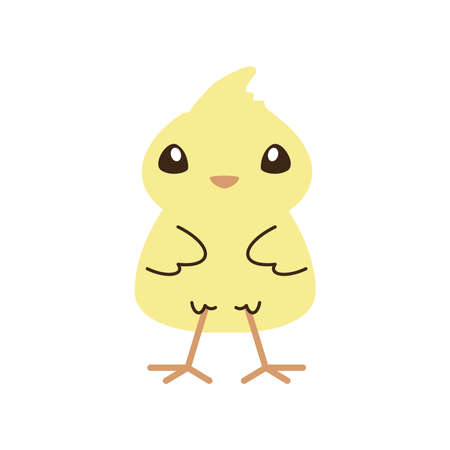 cute little chicken bird vector illustration cartoon isolated styleのイラスト素材
