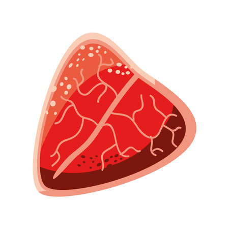 food steak beef fresh proteinのイラスト素材