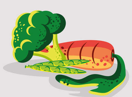 food vegetables fresh carrot broccoliのイラスト素材