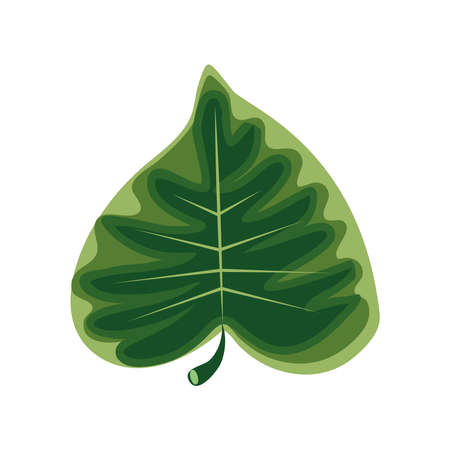 leaf shaped heart nature isolatedのイラスト素材