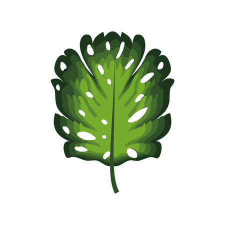 monstera leaf tropical foliage isolatedのイラスト素材