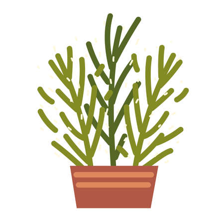 succulent in pot plant decorationのイラスト素材