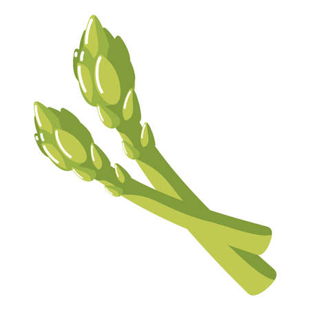asparagus fresh food icon isolatedのイラスト素材