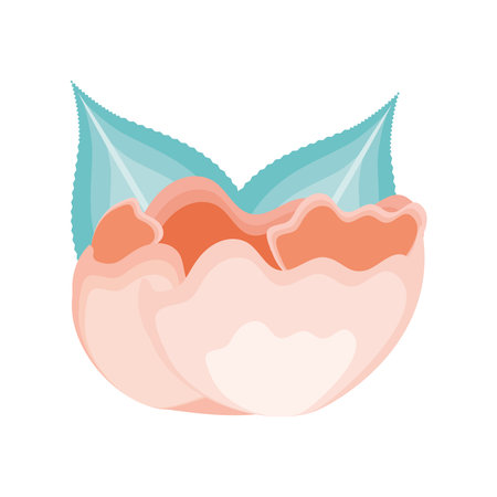 cute flower delicate natural isolatedのイラスト素材