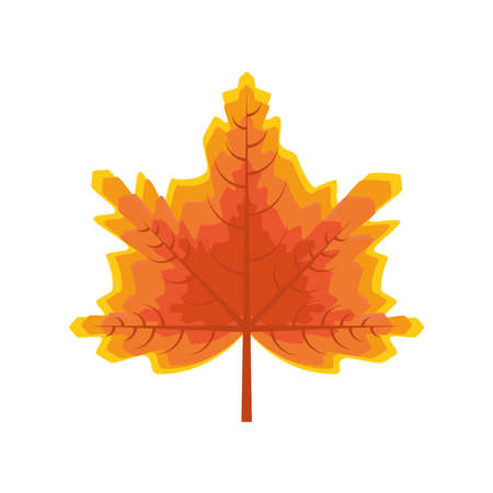 maple leaf autumn season isolatedのイラスト素材