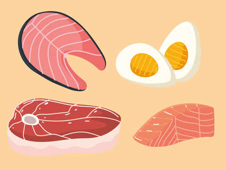food protein fish meat eggのイラスト素材