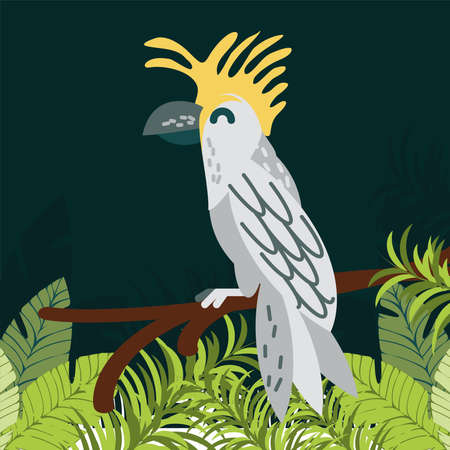 cockatoo branch foliage tropical leavesのイラスト素材