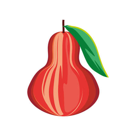 tropical fruit fresh icon isolatedのイラスト素材