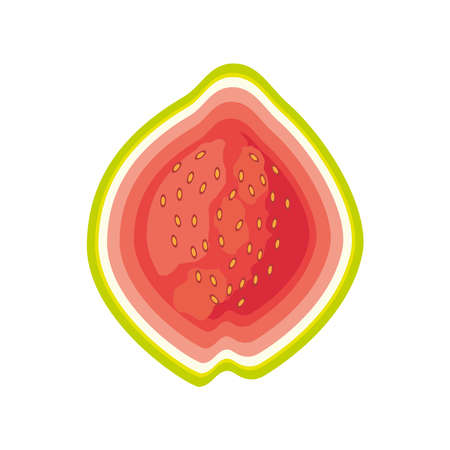 tropical fruit guava icon isolatedのイラスト素材