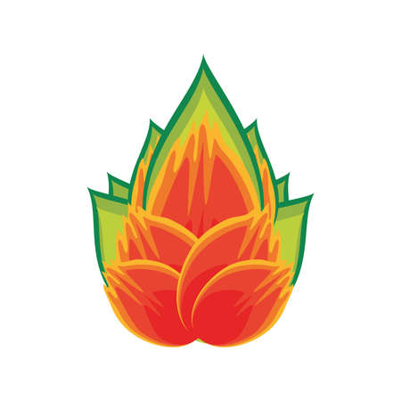 tropical fruit pitahaya icon isolatedのイラスト素材