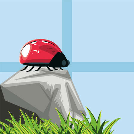 ladybug on stone grass natureのイラスト素材
