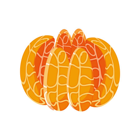 tropical fruit tangerine icon isolated