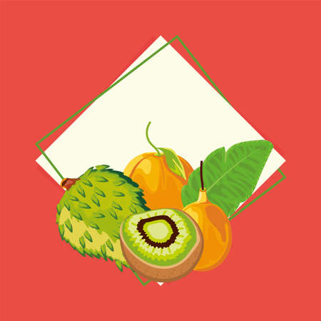 tropical fruits kiwi granadilla orangeのイラスト素材