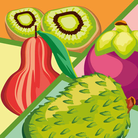 tropical fruits harvest fresh natureのイラスト素材