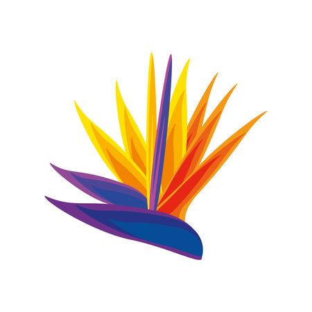 tropical flower bird of paradiseのイラスト素材