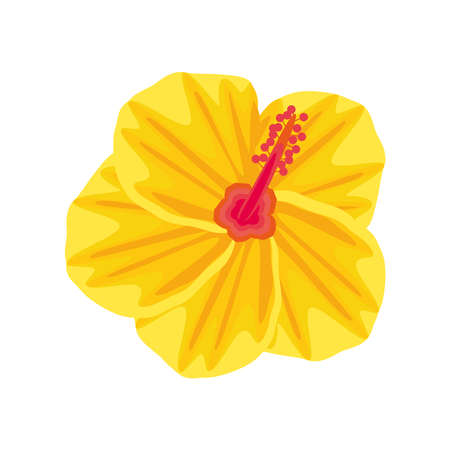 flower hibiscus tropical isolated iconのイラスト素材