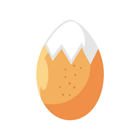 boiled egg fresh isolated iconのイラスト素材
