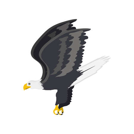 flying bald eagleのイラスト素材