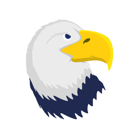 bald eagle head