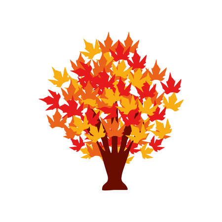 maple tree foliageのイラスト素材