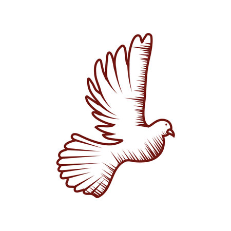 dove bird fyingのイラスト素材