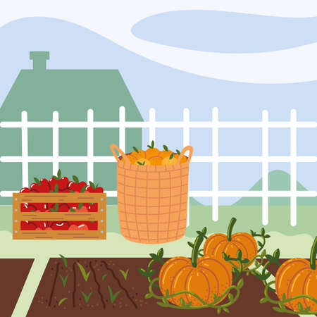 baskets of fruits and pumpkinsのイラスト素材