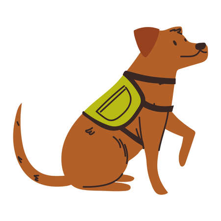 dog with harness vestのイラスト素材