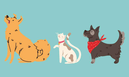 set of pets animalのイラスト素材