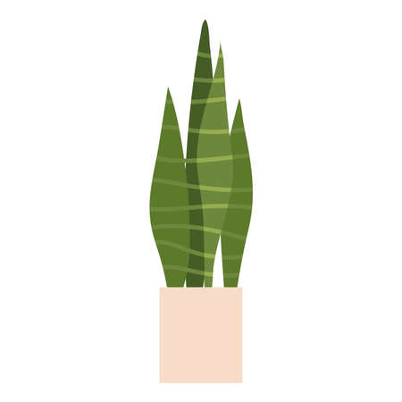 decorative plant in potのイラスト素材