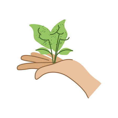 hand holds plantのイラスト素材